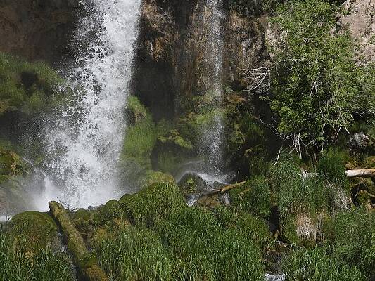 Colorado Wall Art featuring the photograph Rifle Falls 6 by Amanda R Wright