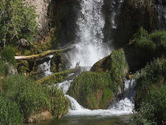 Serene Wall Art featuring the photograph Rifle Falls 8 by Amanda R Wright