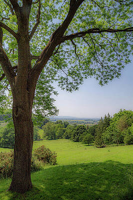 Wall Art featuring the photograph Riftsgate Court Gardens - Gloucestershire, England 7 by Cindy Robinson