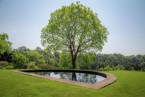 Wall Art featuring the photograph Riftsgate Court Gardens - Gloucestershire, England 8 by Cindy Robinson