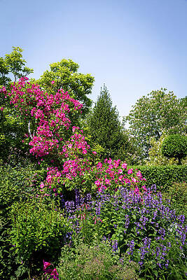 Wall Art featuring the photograph Riftsgate Court Gardens - Gloucestershire, England 9 by Cindy Robinson