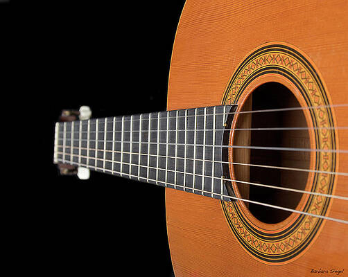 Music Wall Art featuring the photograph Right Angle by Barbara Siegel