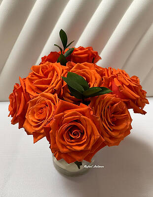 Nature Wall Art featuring the photograph Ring Of Fire Bloom by Rafael Salazar