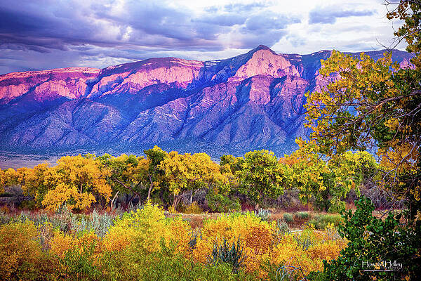 Wall Art featuring the photograph Rio Grande Bosque by Howard Holley