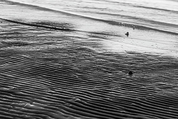 Virginia Photograph - Ripples by David Fountain