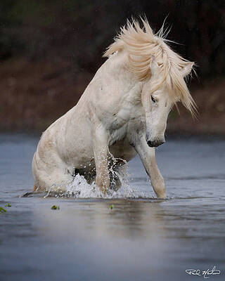 Arizona Photograph - Rising From The River. by Paul Martin