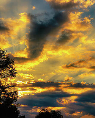 Luminous Wall Art featuring the photograph Rising Sun Bathes The Clouds In Golden Light by Charles Floyd