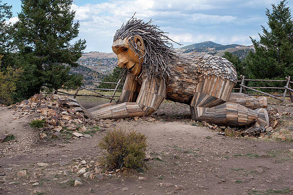 Wall Art featuring the photograph Rita The Troll by Steve Templeton