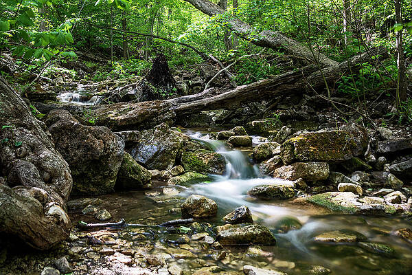 Wild Photograph - River Cascades Over Rocks Through A Forest by John Twynam