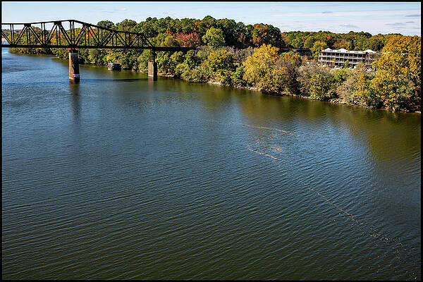 Riverside View with Autumn Foliage Wall Art
