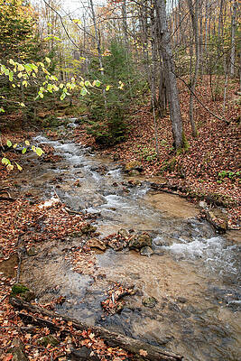 Outdoors Photograph - River Flowing Through An Autumn-Coloured Forest by John Twynam