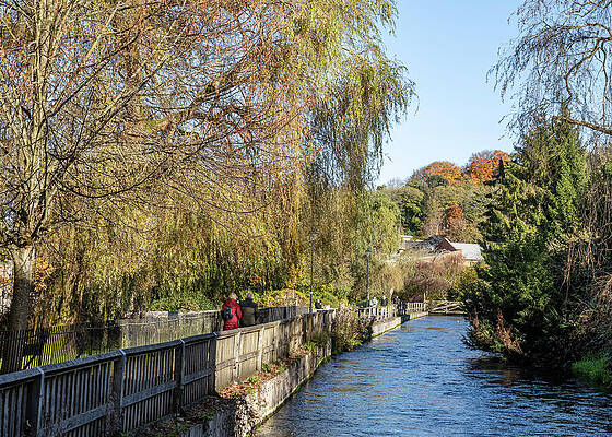 Wall Art featuring the photograph River Itchen #1 by Shirley Mitchell