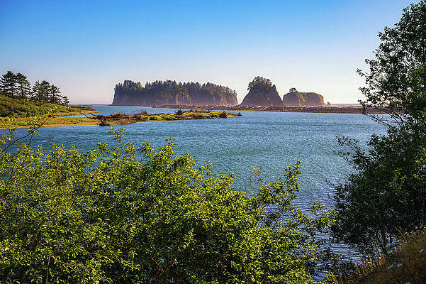 Wall Art featuring the photograph River Meeting The Sea Framed With Foliage At Rialto Beach, Washington State by Miroslav Liska