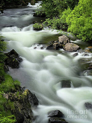 Wall Art featuring the photograph River Of Stillness by Dodie Ross