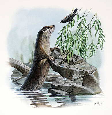 Painting - River Otter by Don Balke