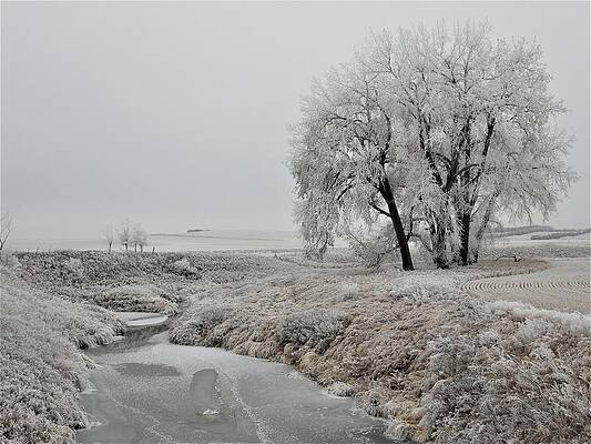 Photograph - Frosty Green River by Amanda R Wright