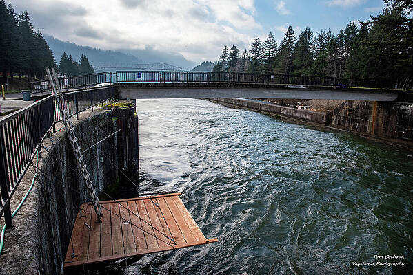 River Underneath Scenic Bridge Photograph