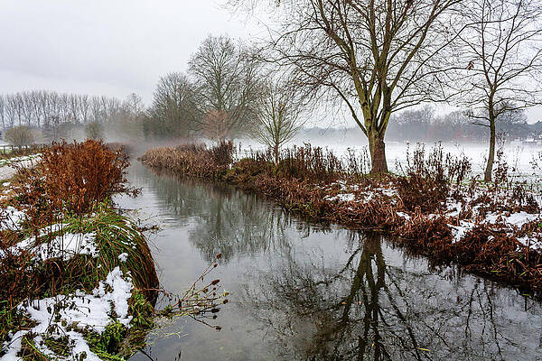 Wall Art featuring the photograph Rivere Itchen In Winter by Shirley Mitchell