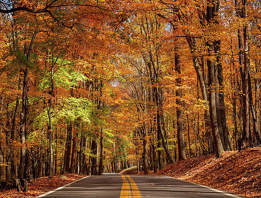 Usa Photograph - Road Leading To Coopers Rock State Park Overlook In WV by Steven Heap