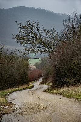 Nature Photograph - Road To Nowhere by Robert Grac