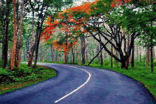 Road To Somewhere In Forest Print