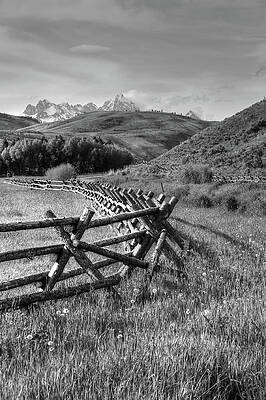 Photograph - Road To Tetons by Randall Dill