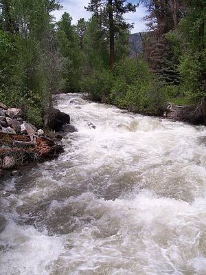 Colorado Wall Art featuring the photograph Roaring River by Amanda R Wright