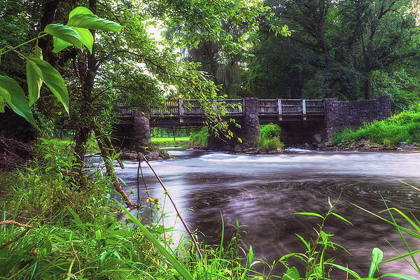 Nature Wall Art featuring the photograph Robin Hood Bridge Riverside by Jason Fink