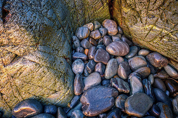 Maine Wall Art featuring the photograph Rock And Stone. by Jeff Sinon
