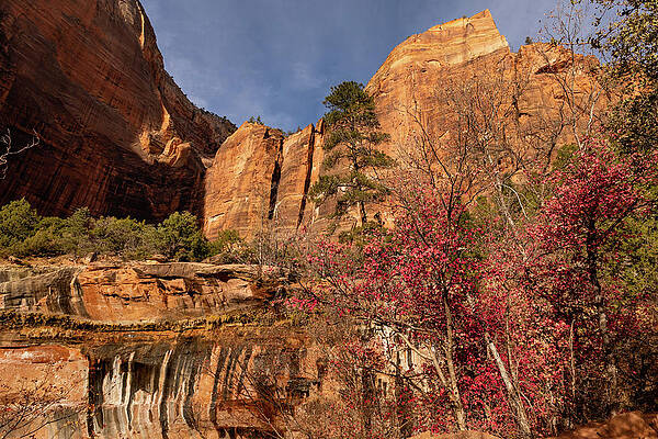 Desert Photograph - Rock Formations Of The Emerald Pools by Craig A Walker