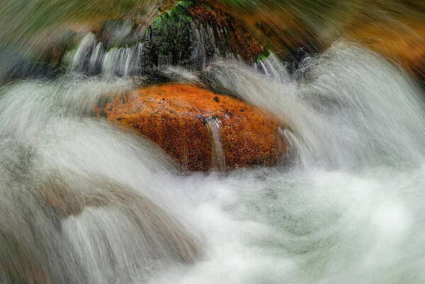 Spring Wall Art featuring the photograph Rock In A Stream by Michael Collins
