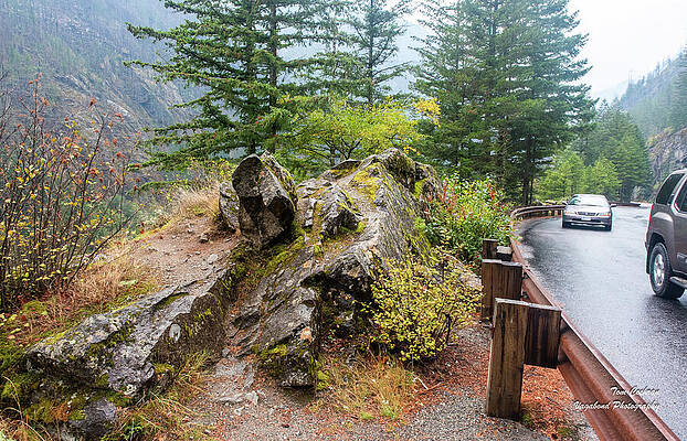 State Route 20 Photograph - Rock In Rain Beside SR 20 by Tom Cochran