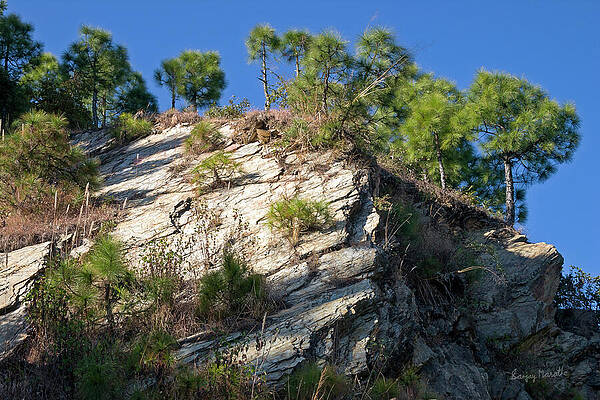 Landscape Wall Art featuring the photograph Rock Landscape, Tehri Garhwal by Sanjay Marathe