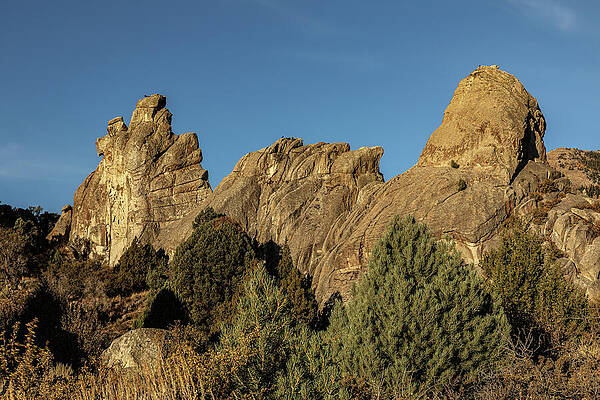 California Wall Art featuring the photograph Rock Ness Monster by Tim Lyden