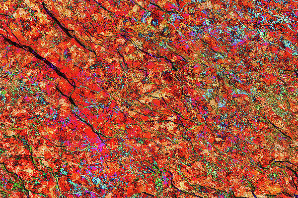 Wall Art featuring the digital art Rock With Lichen Texture Overlay by Bruce Block