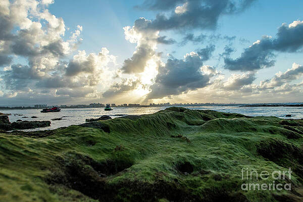 Wave Photograph - Rocks Covered In Moss At Sunset, Pinones, Puerto Rico by Beachtown Views