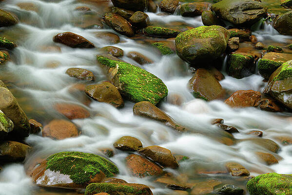 Spring Wall Art featuring the photograph Rocks In A Stream by Michael Collins
