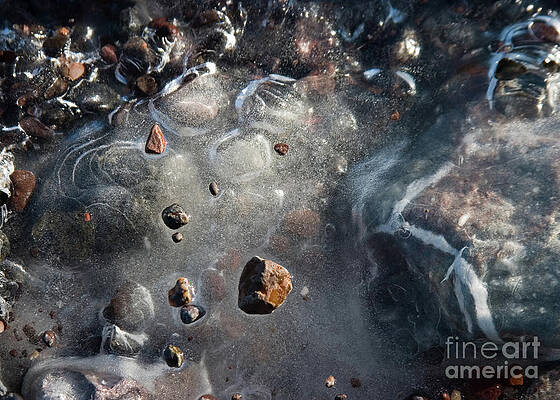 Nature Wall Art featuring the photograph Rocks In Ice by Mark Triplett