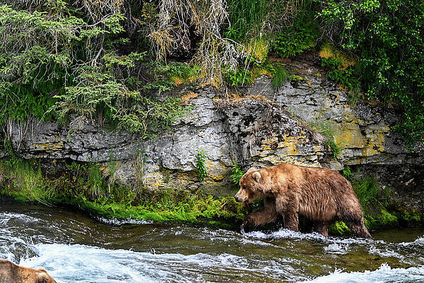 Wall Art featuring the photograph Rocky by Harry Banks