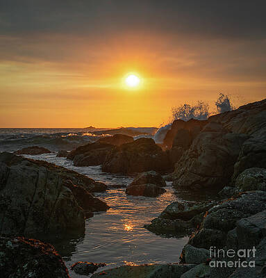 Photograph - Rocky Inlet At Sunset by Ron Long Ltd Photography