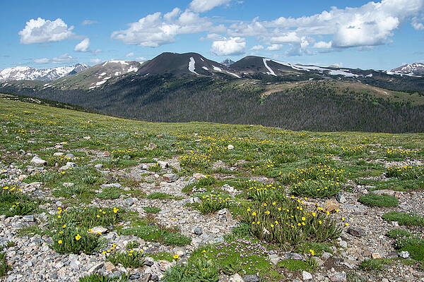 Rocky Mountain National Park Photograph - Rocky Mountain National Park Alpine Landscape by Cascade Colors