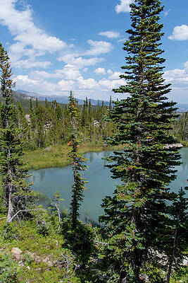 Rocky Mountain National Park Photograph - Rocky Mountain National Park Pond And Forest by Cascade Colors
