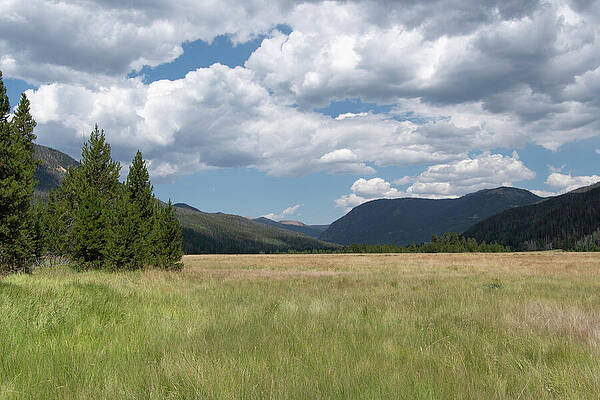 Rocky Mountain National Park Photograph - Rocky Mountain National Park Summer Meadow by Cascade Colors