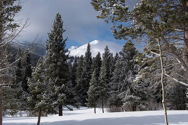 Rocky Mountain National Park Photograph - Rocky Mountain Winter Morning Sunlight by Cascade Colors