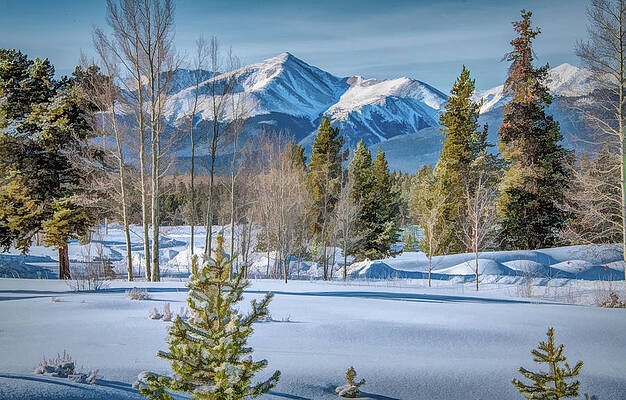 Natural Photograph - Rocky Mountains Winter Morning by Marcy Wielfaert