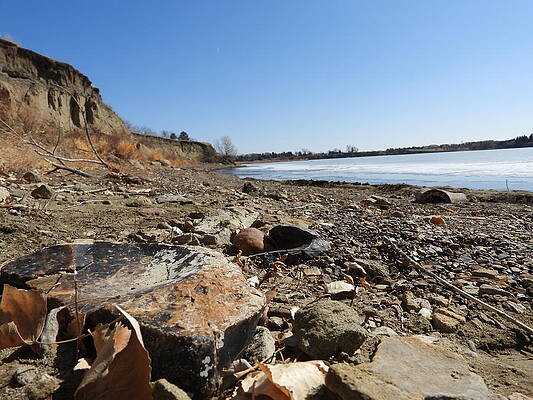 Photograph - Rocky Shore by Amanda R Wright