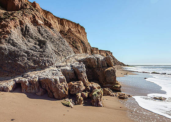 Cliffs and Shoreline at Low Tide Wall Art