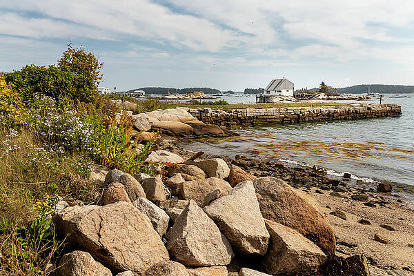 Rock Wall Art featuring the photograph Rocky Stonington, Maine Shoreline by Craig A Walker