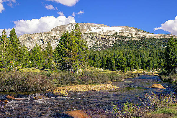 Water Photograph - Rocky Stream With Snowy Mountain by David Fountain