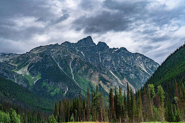 Photograph - Rogers Pass Alberta Canada by Tommy Farnsworth